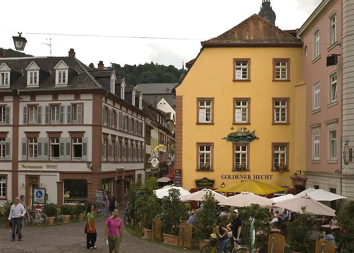 Goldener Hecht